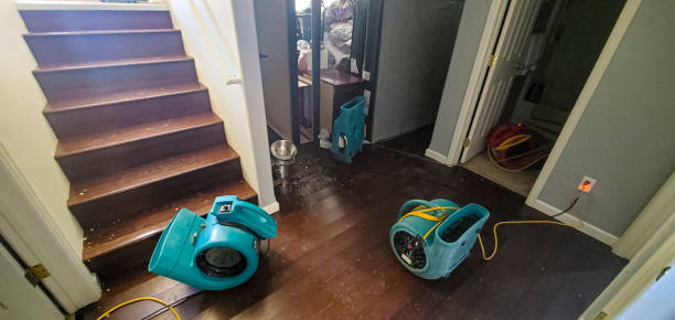 Best 24/7 water damage repair  in Crosbyton, TX