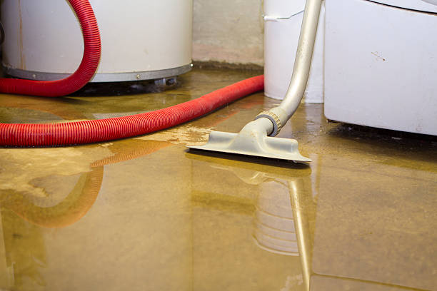 Best Flood restoration services  in Crosbyton, TX