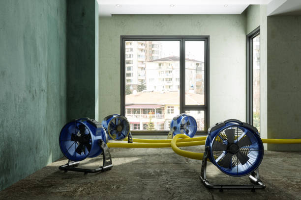Best Mold removal after water damage  in Crosbyton, TX